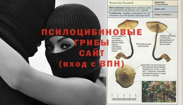 герыч Вяземский