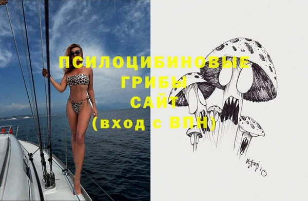 герыч Вязники