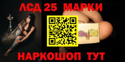 гашик Будённовск