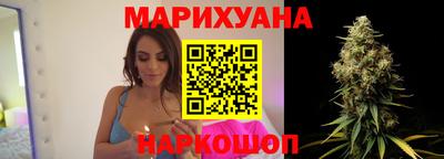 гашик Будённовск