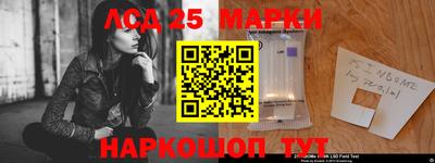 прущий лед Будённовск