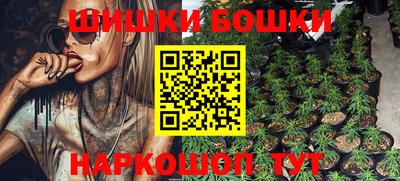 гашик Будённовск