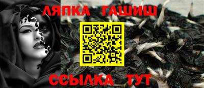 гашик Будённовск