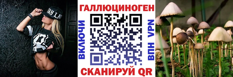Псилоцибиновые грибы Psilocybe  Гуково 