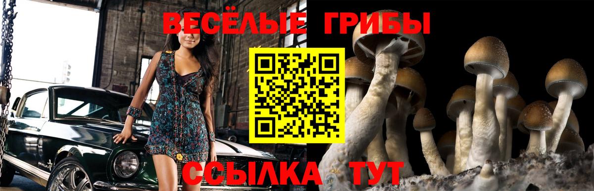 Гуково  Псилоцибиновые грибы ЛСД  Вход с VPN 