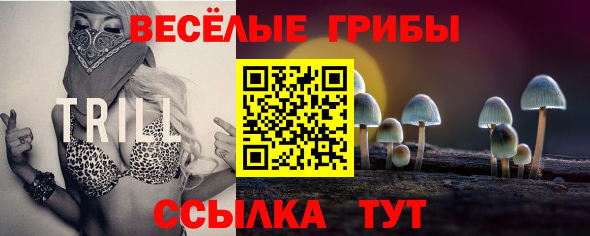 APVP Гуково